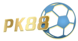 what is killer sudoku
